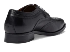 Johnston & Murphy Danridge Wing Tip -Steve Madden Shop 616nxlIOL