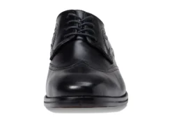 Johnston & Murphy Danridge Wing Tip -Steve Madden Shop 61FSeQKxrTL