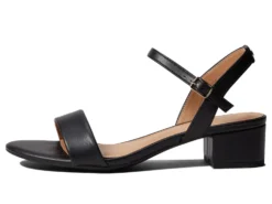 Circus NY Ibis -Steve Madden Shop 61bAbW4nCYL