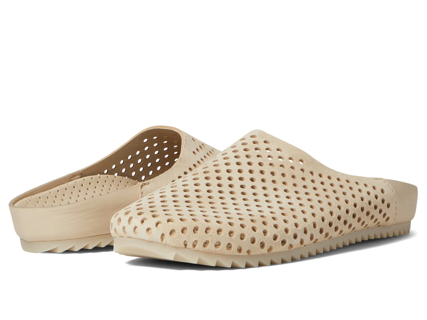 Pedro Garcia Sasi 1 Pedro Garcia Sasi