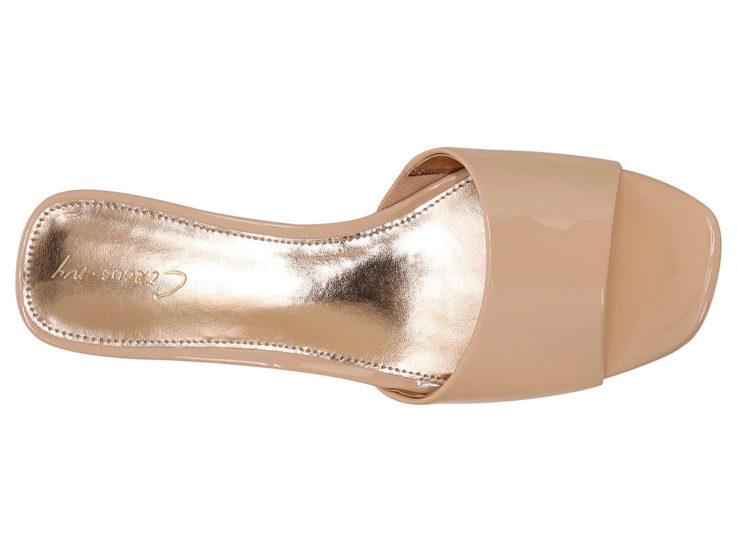 Circus NY Nova 2 Circus NY Nova - Image 2