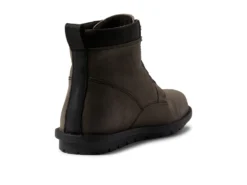 Born Sean 10 Born Sean -Steve Madden Shop 61oMgfnByvL