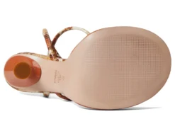 Schutz Jhaz -Steve Madden Shop 61qWEg89xEL