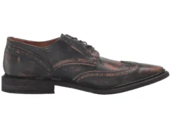 Frye Paul Wingtip -Steve Madden Shop 71BpjXNIkL