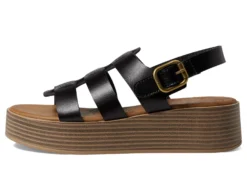 Blowfish Malibu London -Steve Madden Shop 71C5TkzCQFL