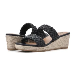 White Mountain Salvadora