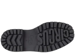 Circus NY Flora 8 Circus NY Flora -Steve Madden Shop 71HFAGyyk3L