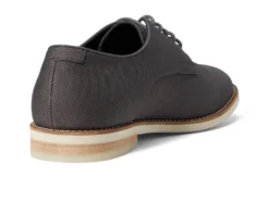 Calvin Klein Aggussie -Steve Madden Shop 71KGwcsrtRL