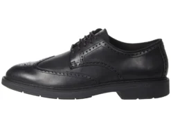 Cole Haan The Go-To Wing Oxford 9 Cole Haan The Go-To Wing Oxford -Steve Madden Shop 71eJ9DtbGL