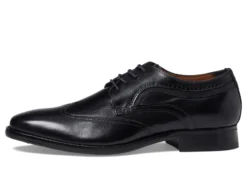 Johnston & Murphy Danridge Wing Tip -Steve Madden Shop 71hGJ17ICrL