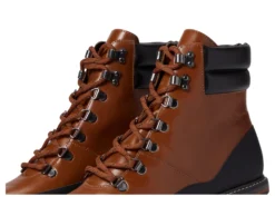 Bernardo Summit -Steve Madden Shop 71luEtkqIBL