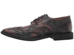 Frye Paul Wingtip -Steve Madden Shop 71n6Pm3f4uL